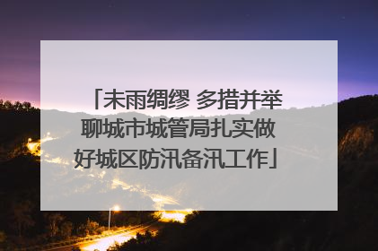 未雨绸缪 多措并举 聊城市城管局扎实做好城区防汛备汛工作