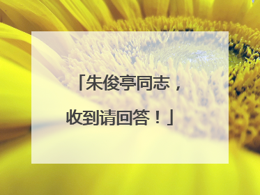 朱俊亭同志，收到请回答！