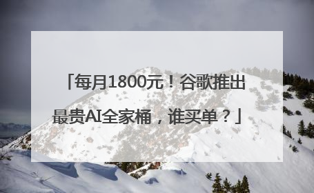 每月1800元！谷歌推出最贵AI全家桶，谁买单？