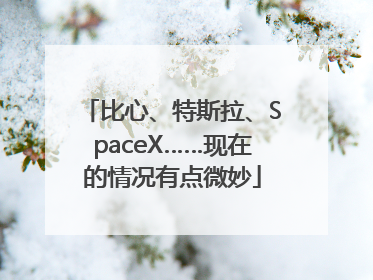 比心、特斯拉、SpaceX……现在的情况有点微妙