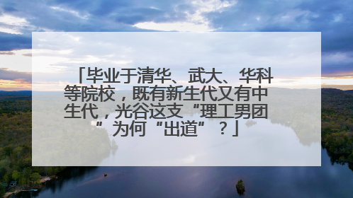 毕业于清华、武大、华科等院校，既有新生代又有中生代，光谷这支“理工男团”为何“出道”？