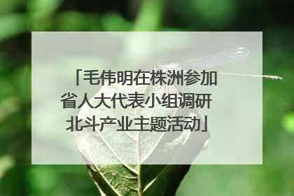 毛伟明在株洲参加省人大代表小组调研北斗产业主题活动