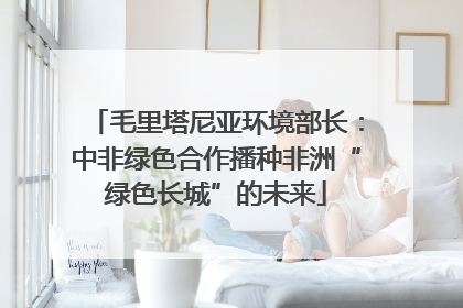 毛里塔尼亚环境部长：中非绿色合作播种非洲“绿色长城”的未来