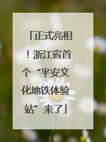 正式亮相！浙江省首个“平安文化地铁体验站”来了