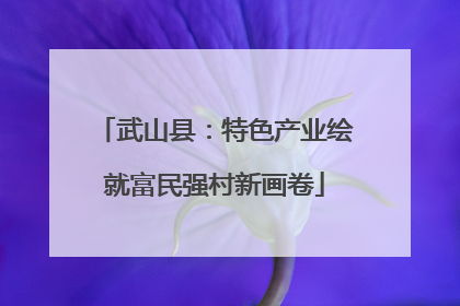 武山县：特色产业绘就富民强村新画卷