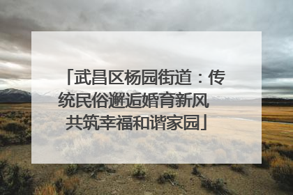 武昌区杨园街道：传统民俗邂逅婚育新风 共筑幸福和谐家园
