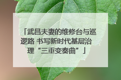 武昌夫妻的维修台与巡逻路 书写新时代基层治理“三重变奏曲”