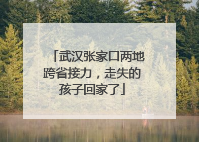 武汉张家口两地跨省接力，走失的孩子回家了
