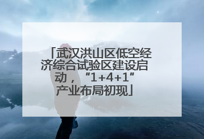 武汉洪山区低空经济综合试验区建设启动，“1+4+1”产业布局初现