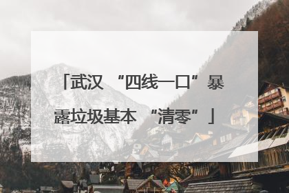 武汉 “四线一口”暴露垃圾基本 “清零”
