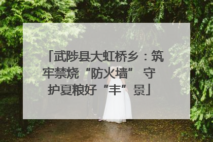 武陟县大虹桥乡：筑牢禁烧“防火墙” 守护夏粮好“丰”景