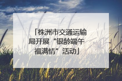 株洲市交通运输局开展“银龄端午福满情”活动