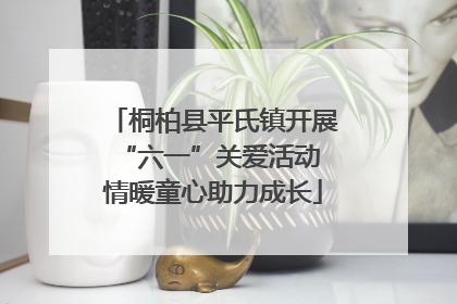 桐柏县平氏镇开展“六一”关爱活动 情暖童心助力成长