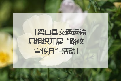 梁山县交通运输局组织开展“路政宣传月”活动