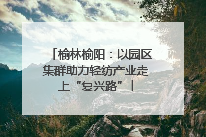 榆林榆阳：以园区集群助力轻纺产业走上“复兴路”
