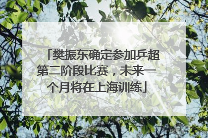 樊振东确定参加乒超第二阶段比赛，未来一个月将在上海训练