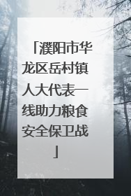 濮阳市华龙区岳村镇人大代表一线助力粮食安全保卫战