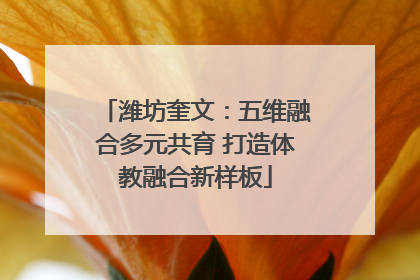 潍坊奎文：五维融合多元共育 打造体教融合新样板