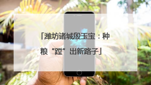 潍坊诸城殷玉宝：种粮“蹚”出新路子