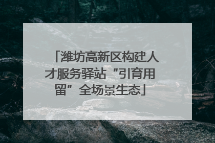 潍坊高新区构建人才服务驿站“引育用留”全场景生态