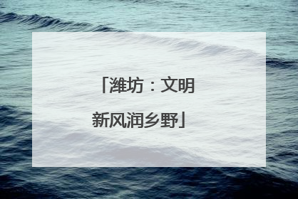 潍坊：文明新风润乡野