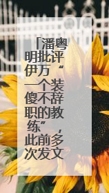 潘粤明批评伊万“一个装傻不辞职的教练”，此前多次发文评价国足