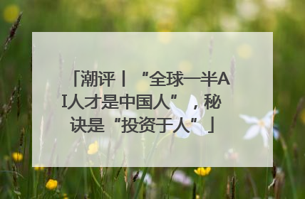 潮评丨“全球一半AI人才是中国人”，秘诀是“投资于人”