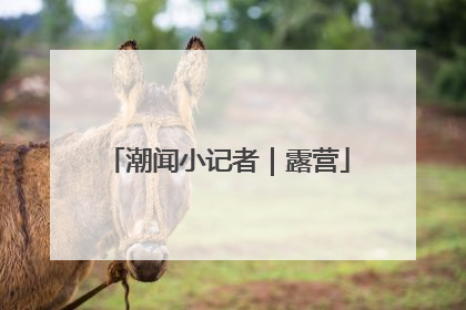 潮闻小记者｜露营