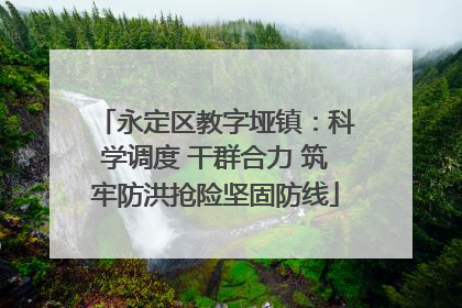 永定区教字垭镇：科学调度 干群合力 筑牢防洪抢险坚固防线
