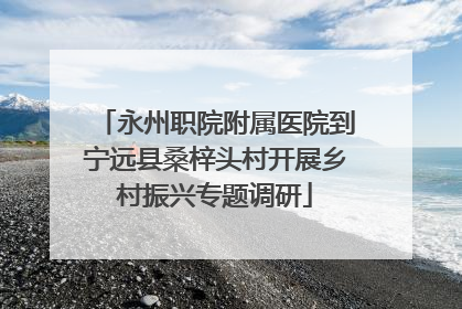 永州职院附属医院到宁远县桑梓头村开展乡村振兴专题调研