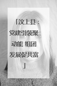 汶上县：党建引领聚动能 组团发展促共富