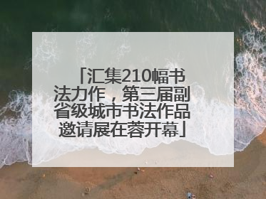 汇集210幅书法力作，第三届副省级城市书法作品邀请展在蓉开幕