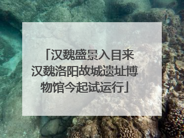 汉魏盛景入目来 汉魏洛阳故城遗址博物馆今起试运行