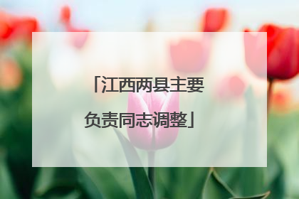 江西两县主要负责同志调整