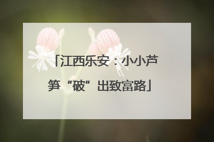 江西乐安：小小芦笋“破”出致富路