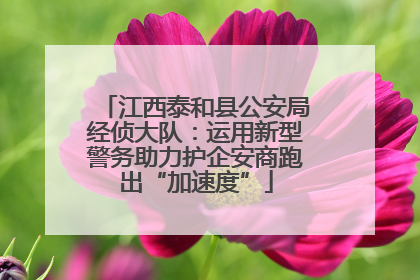 江西泰和县公安局经侦大队：运用新型警务助力护企安商跑出“加速度”
