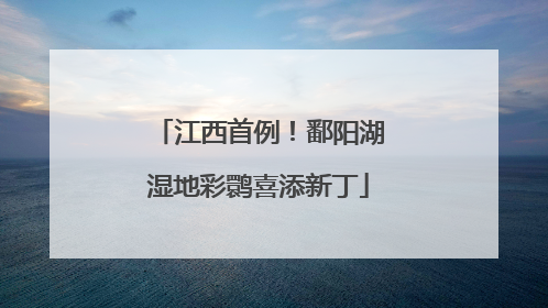 江西首例！鄱阳湖湿地彩鹮喜添新丁