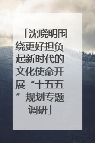 沈晓明围绕更好担负起新时代的文化使命开展“十五五”规划专题调研