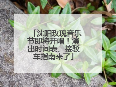 沈阳玫瑰音乐节即将开唱！演出时间表、接驳车指南来了