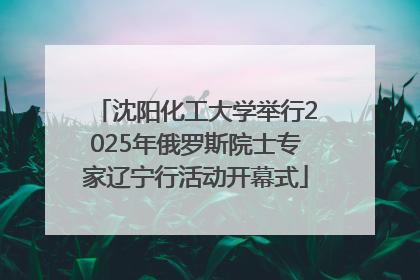 沈阳化工大学举行2025年俄罗斯院士专家辽宁行活动开幕式
