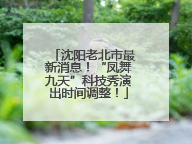 沈阳老北市最新消息！“凤舞九天”科技秀演出时间调整！