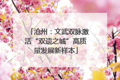沧州：文武双脉激活“双遗之城”高质量发展新样本