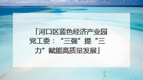 河口区蓝色经济产业园党工委：“三强”提“三力”赋能高质量发展