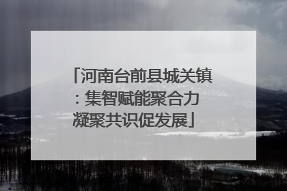 河南台前县城关镇：集智赋能聚合力 凝聚共识促发展