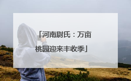 河南尉氏：万亩桃园迎来丰收季