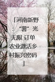 河南新野：“薯”光无限 订单农业激活乡村振兴密码
