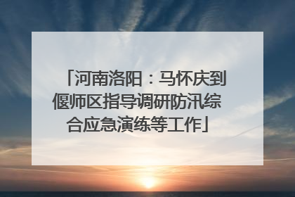 河南洛阳：马怀庆到偃师区指导调研防汛综合应急演练等工作