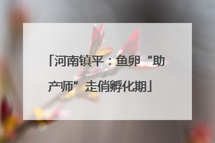 河南镇平：鱼卵“助产师”走俏孵化期