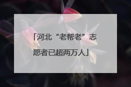 河北“老帮老”志愿者已超两万人