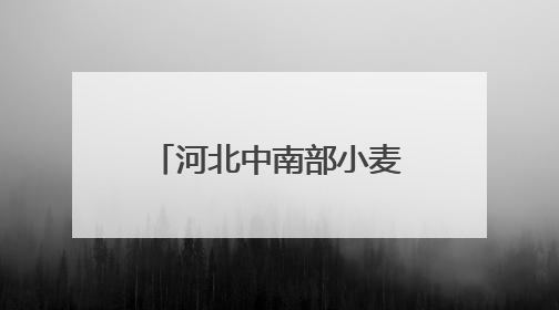 河北中南部小麦长势良好 积极应对干热风挑战
